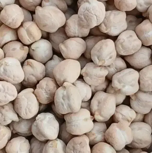 نخود سفید|خوردنی و آشامیدنی|قیدار, |دیوار