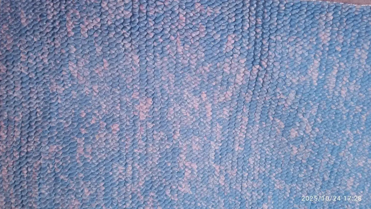 پالاز موکت|موکت|سقز, |دیوار