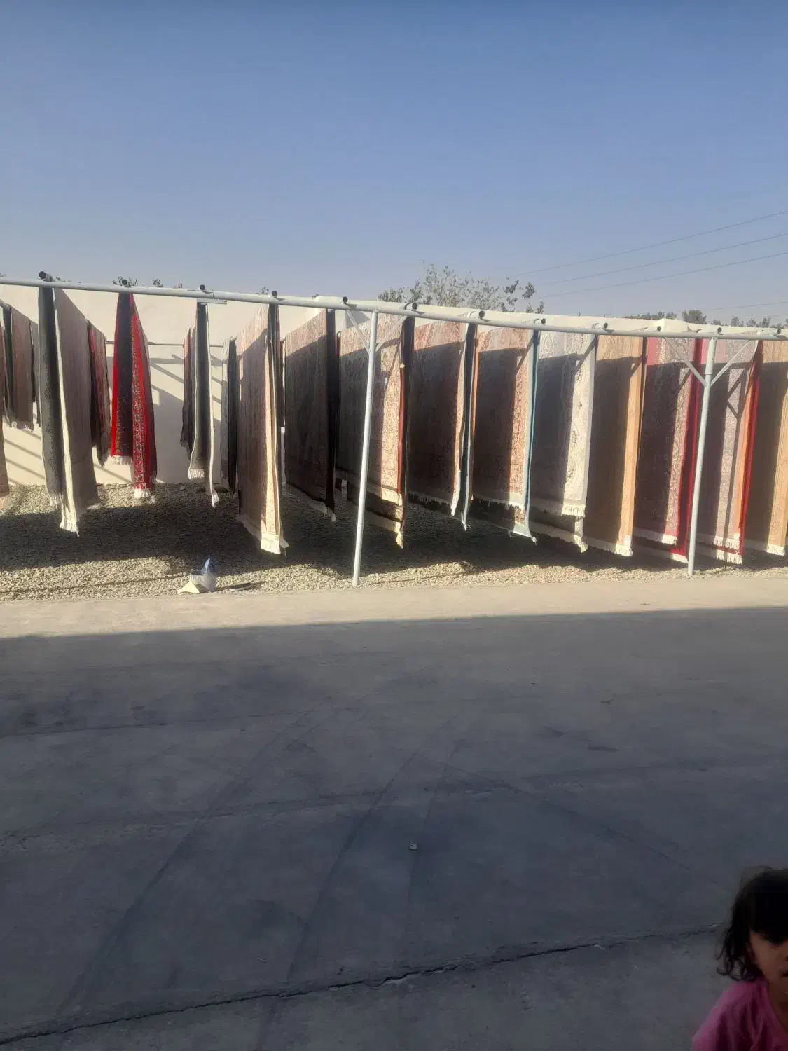 قالیشویی و مبلشویی پاک|خدمات نظافت|تهران, خاوران|دیوار