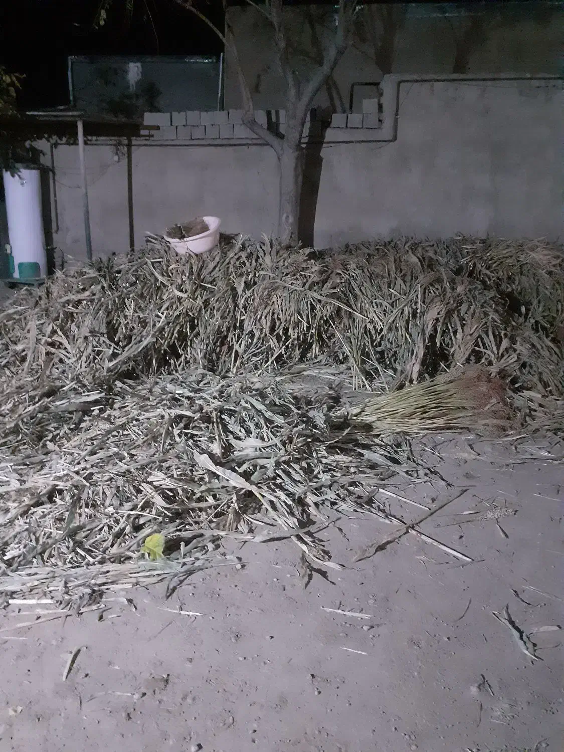 چهارنیسان جاروشهری تازه چیده شده|لوازم نظافت|خرم‌آباد, |دیوار