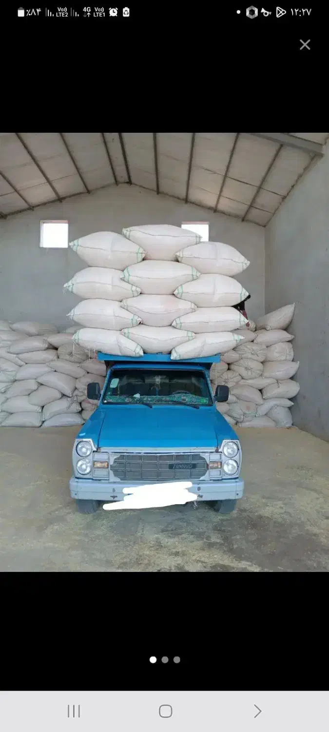 ۱۰۰تن کاه دیم کیسه شده داخل سوله|عمده‌فروشی|دیواندره, |دیوار