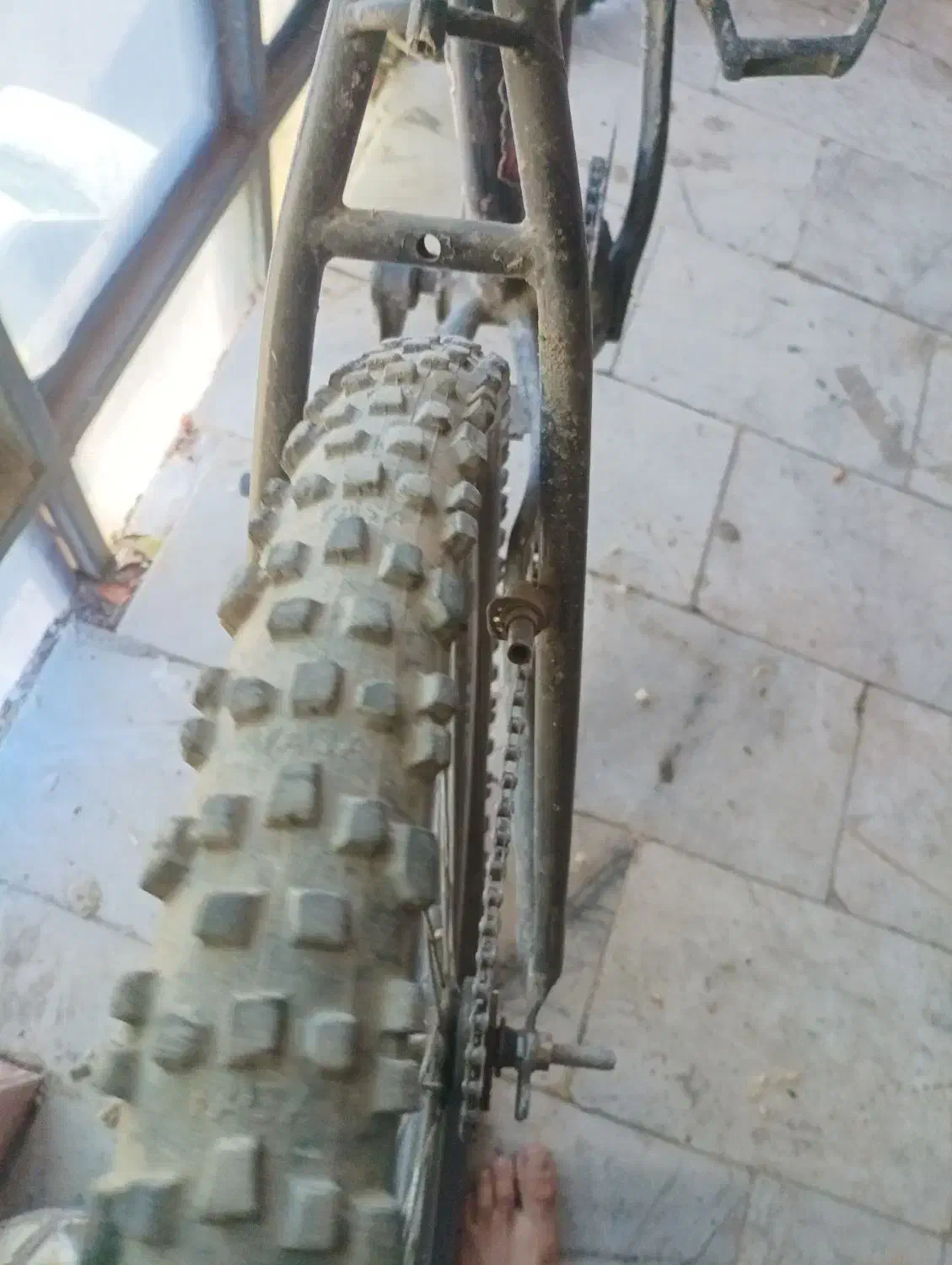 دوچرخه 24آساک|دوچرخه، اسکیت، اسکوتر|کاشان, باغ ماجد|دیوار