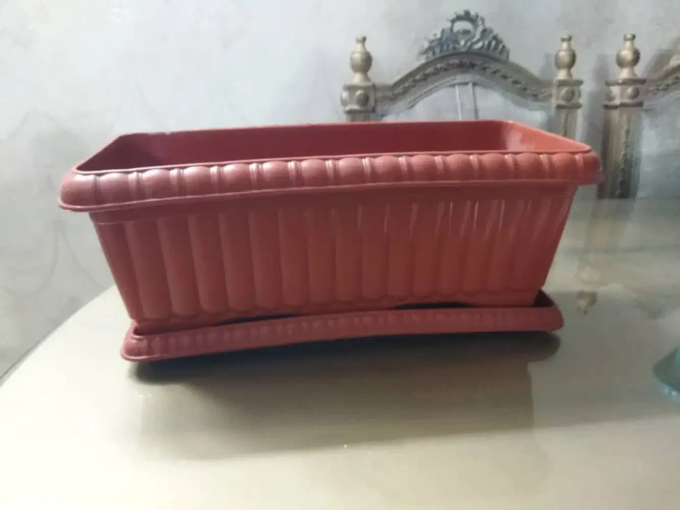 دوعدد باکس گل بازیره نونو|گل و گیاه طبیعی|تهران, مشیریه|دیوار