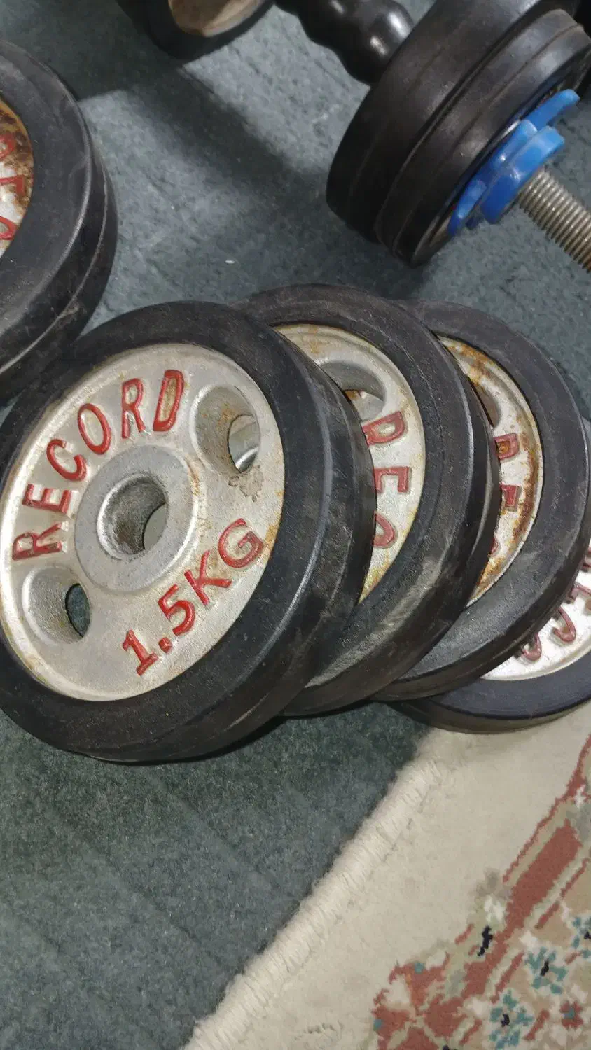 دمبل ۱۸ کیلویی|تجهیزات ورزشی|ری, شهید بهشتی|دیوار