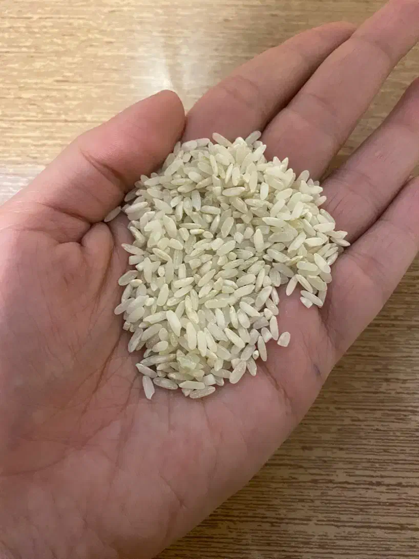 برنج‌ لنجان|خوردنی و آشامیدنی|لنجان, |دیوار