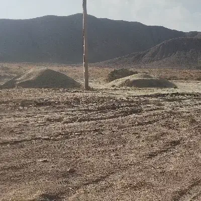 کاه علف|لوازم جانبی حیوانات|نیشابور, مازول|دیوار