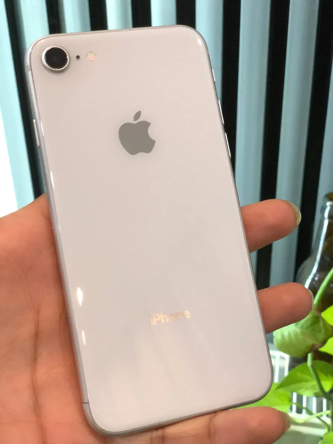 IPhone8|موبایل|گلستان (تهران), |دیوار