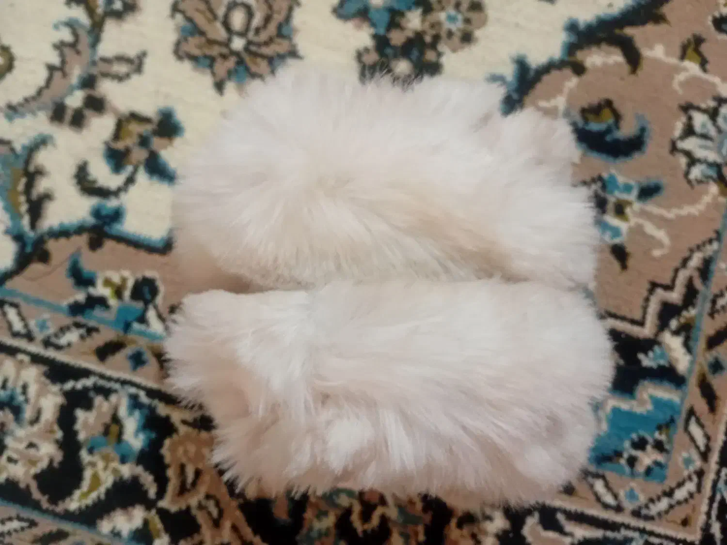 گوشبند سفید|لباس|مشگین شهر, |دیوار