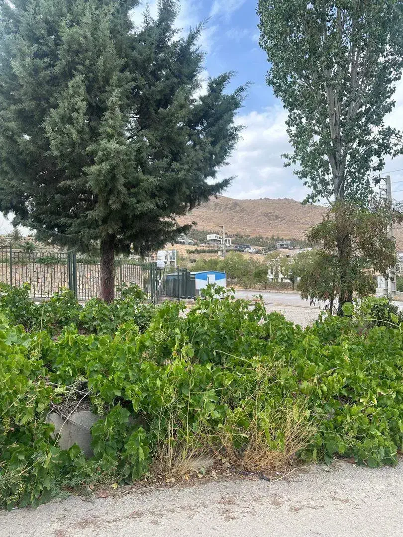 600متر زمین 3نبش شهرک آویشن/ احمدآباد / ششدانگ|فروش زمین و ملک کلنگی|دماوند, شهرک آویشن|دیوار