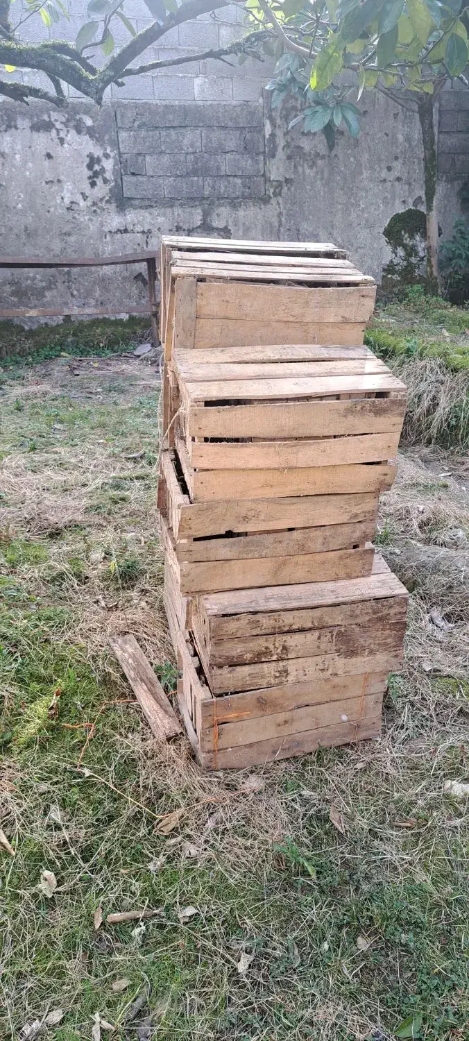 سبد چوبی|خدمات باغبانی و درختکاری|سلمان‌شهر, |دیوار