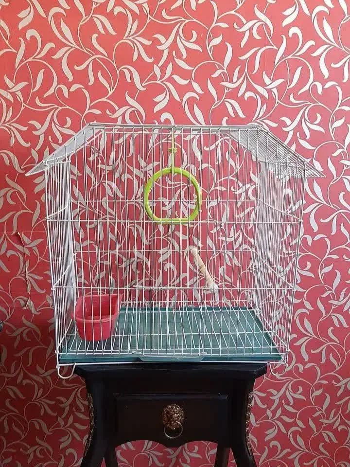 قفس پرنده تمیز در حد نو پردیس|لوازم جانبی حیوانات|پردیس, فاز ۲|دیوار