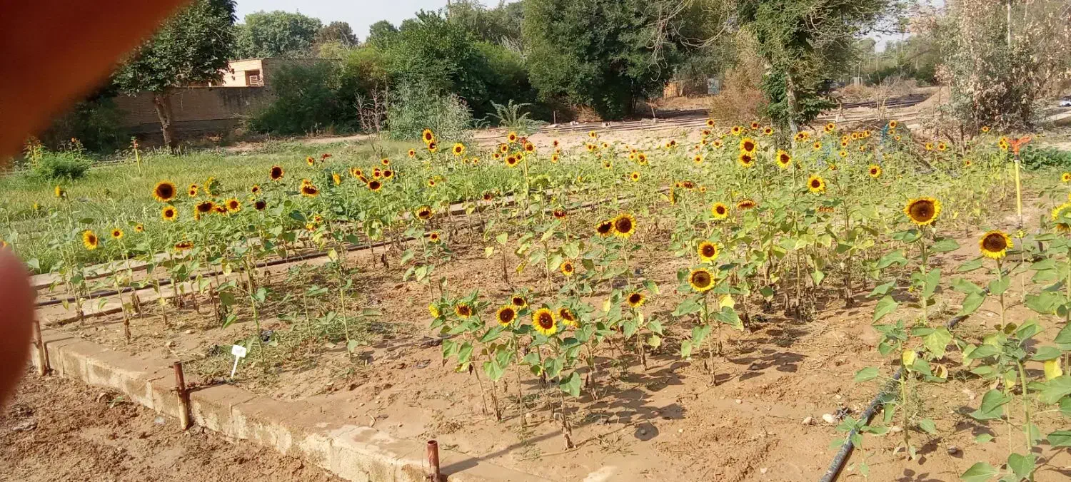 استخدام|استخدام اداری و مدیریت|دزفول, |دیوار