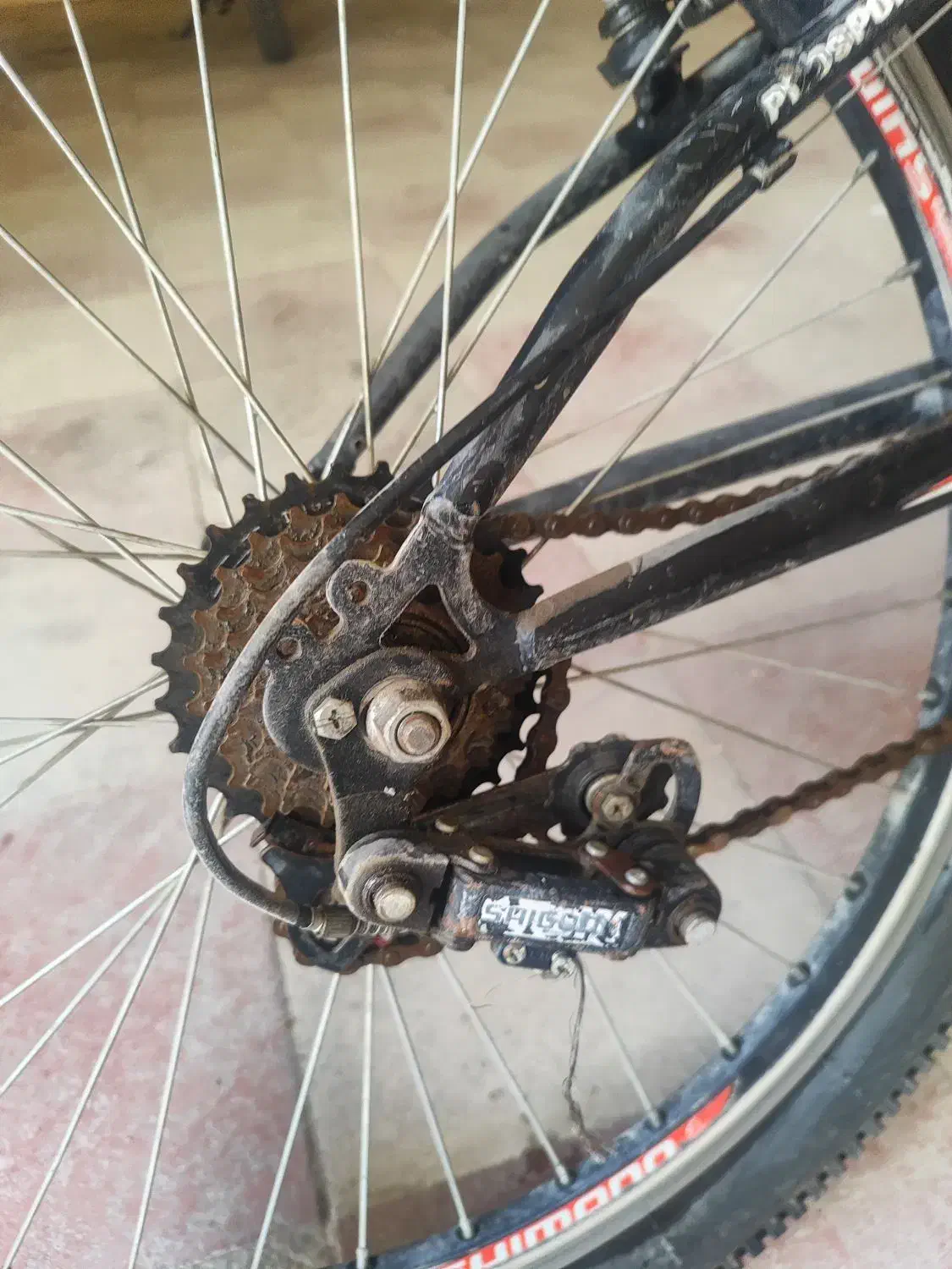 دوچرخه|دوچرخه، اسکیت، اسکوتر|کازرون, |دیوار