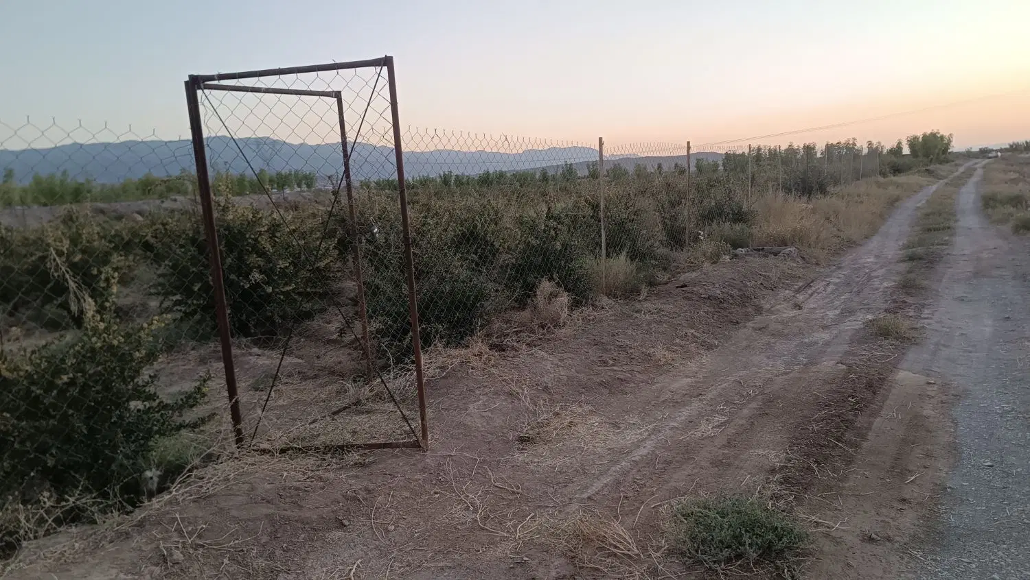 تصویر 2