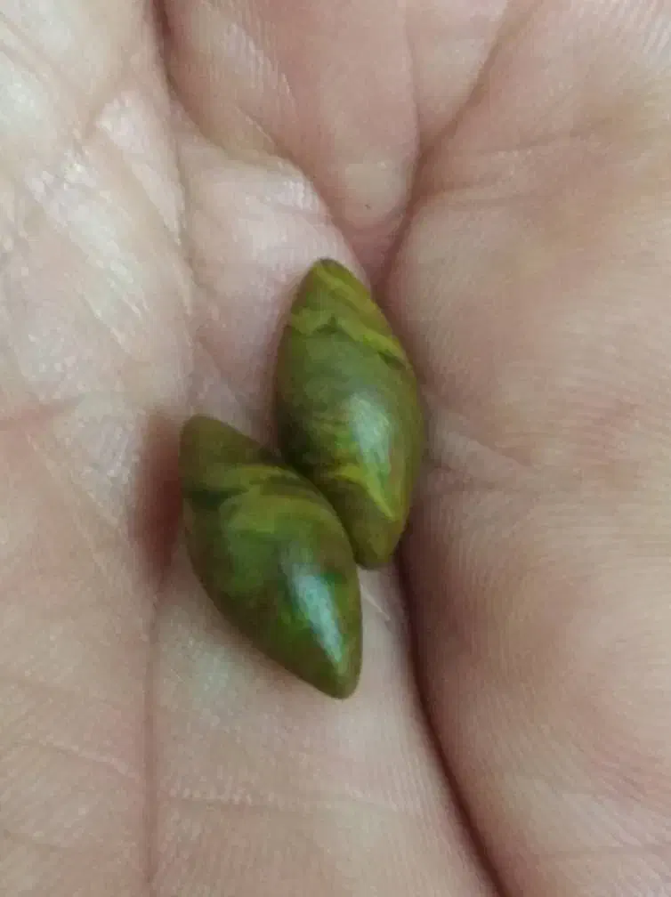 مهره وسنگ اصلی|جواهرات|برازجان, |دیوار