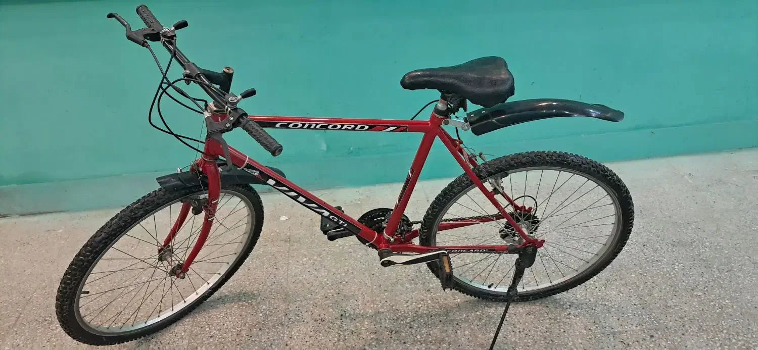 دوچرخه ۲۶|دوچرخه، اسکیت، اسکوتر|تربتحیدریه, قائم|دیوار