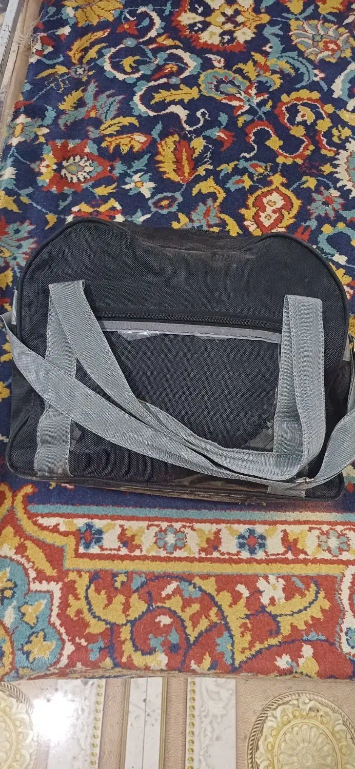 یک عدد کیف پیدا شده|کیف، کفش، کمربند|مراغه, |دیوار