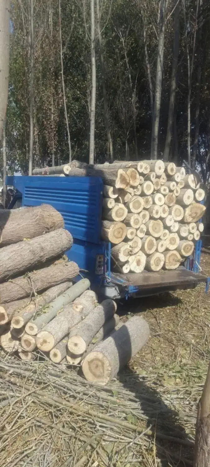 خرید چوب به قیمت روز|خدمات باغبانی و درختکاری|زنجان, |دیوار