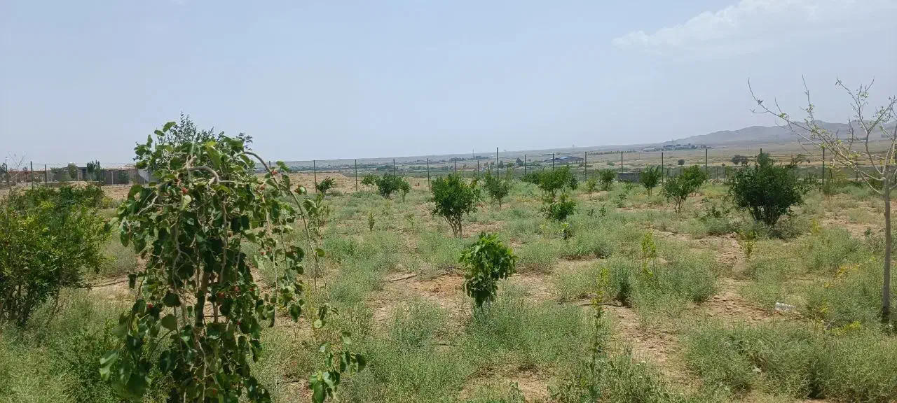 باغچه ۱۳۰۰متری خلج آباد|فروش خانه و ویلا|سلفچگان, |دیوار