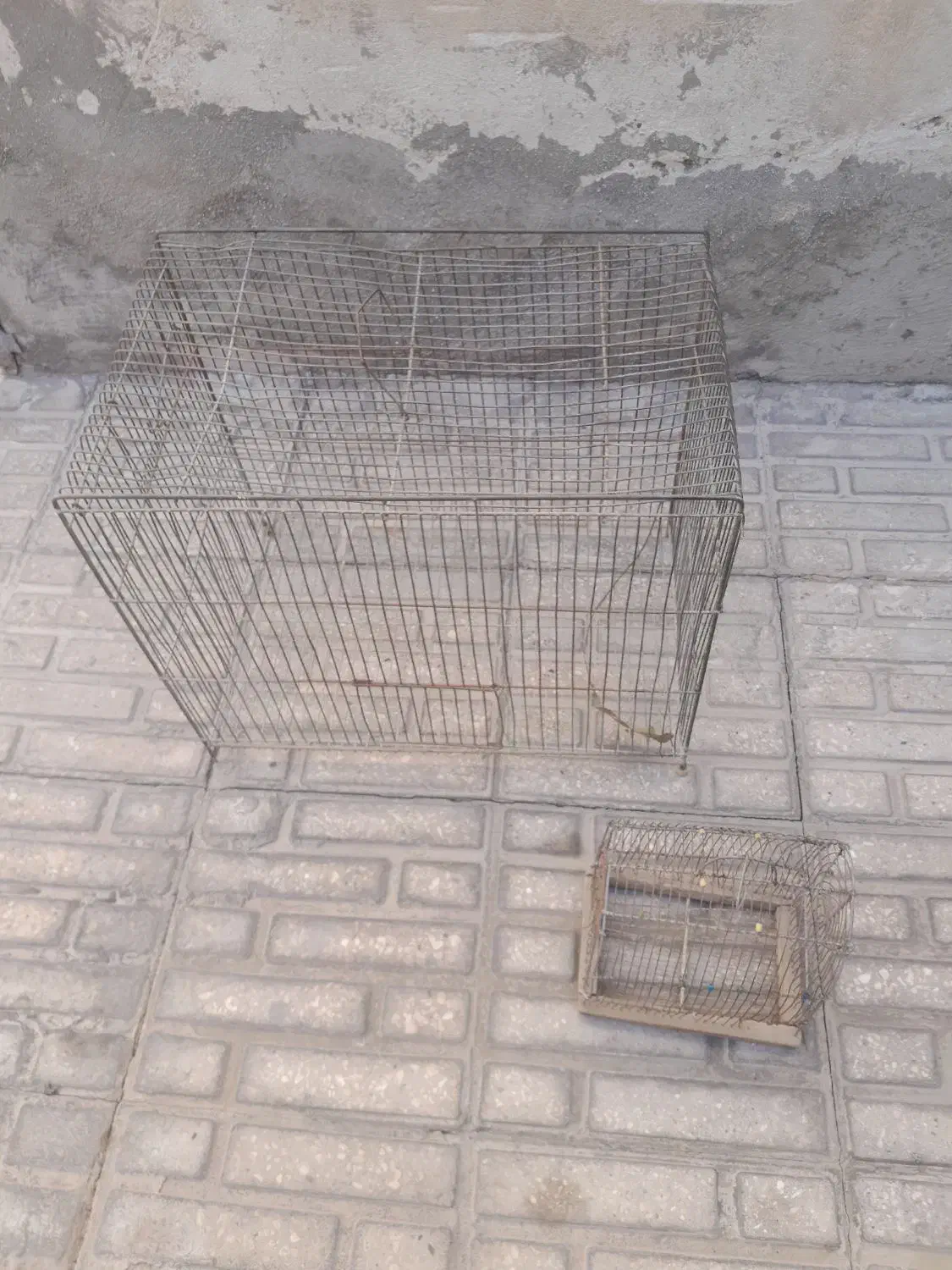 قفس پرنده|لوازم جانبی حیوانات|کرمانشاه, |دیوار