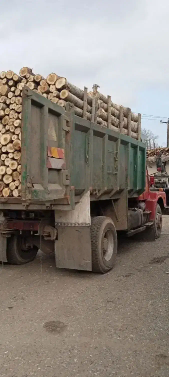 خرید چوب به قیمت روز|خدمات باغبانی و درختکاری|زنجان, |دیوار