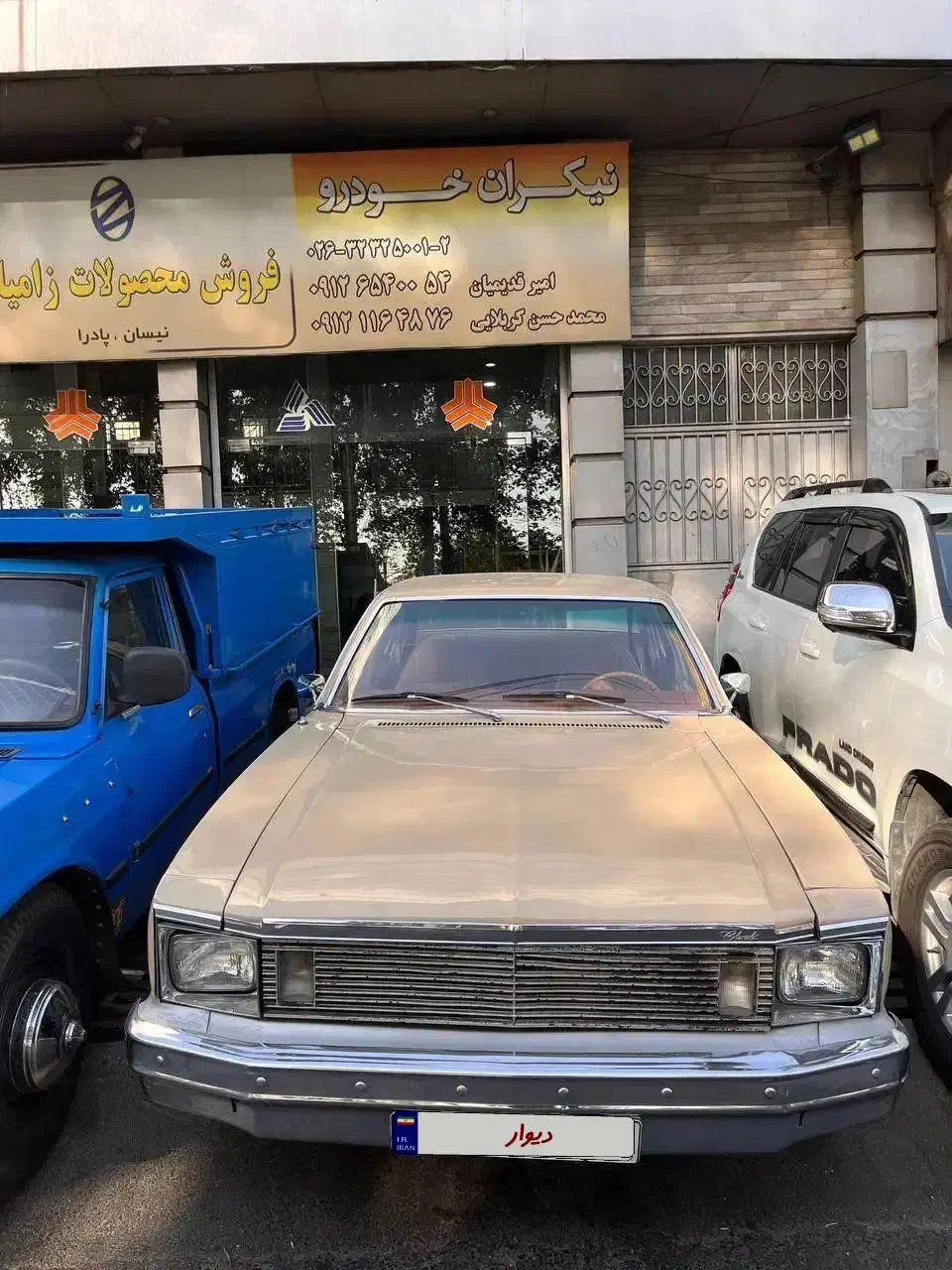 شورلت نوا c6مدل ۱۳۶۵|خودرو کلاسیک|تهران, اکباتان|دیوار