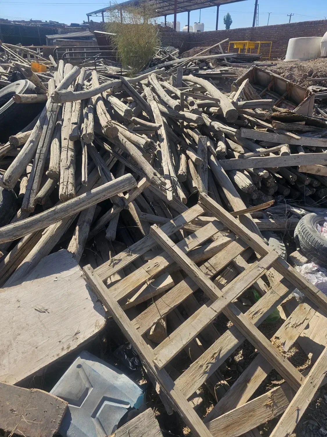 چوب گرد ۳ متری سالم برای سایبون و غیره|مصالح و تجهیزات ساختمان|کرمان, |دیوار