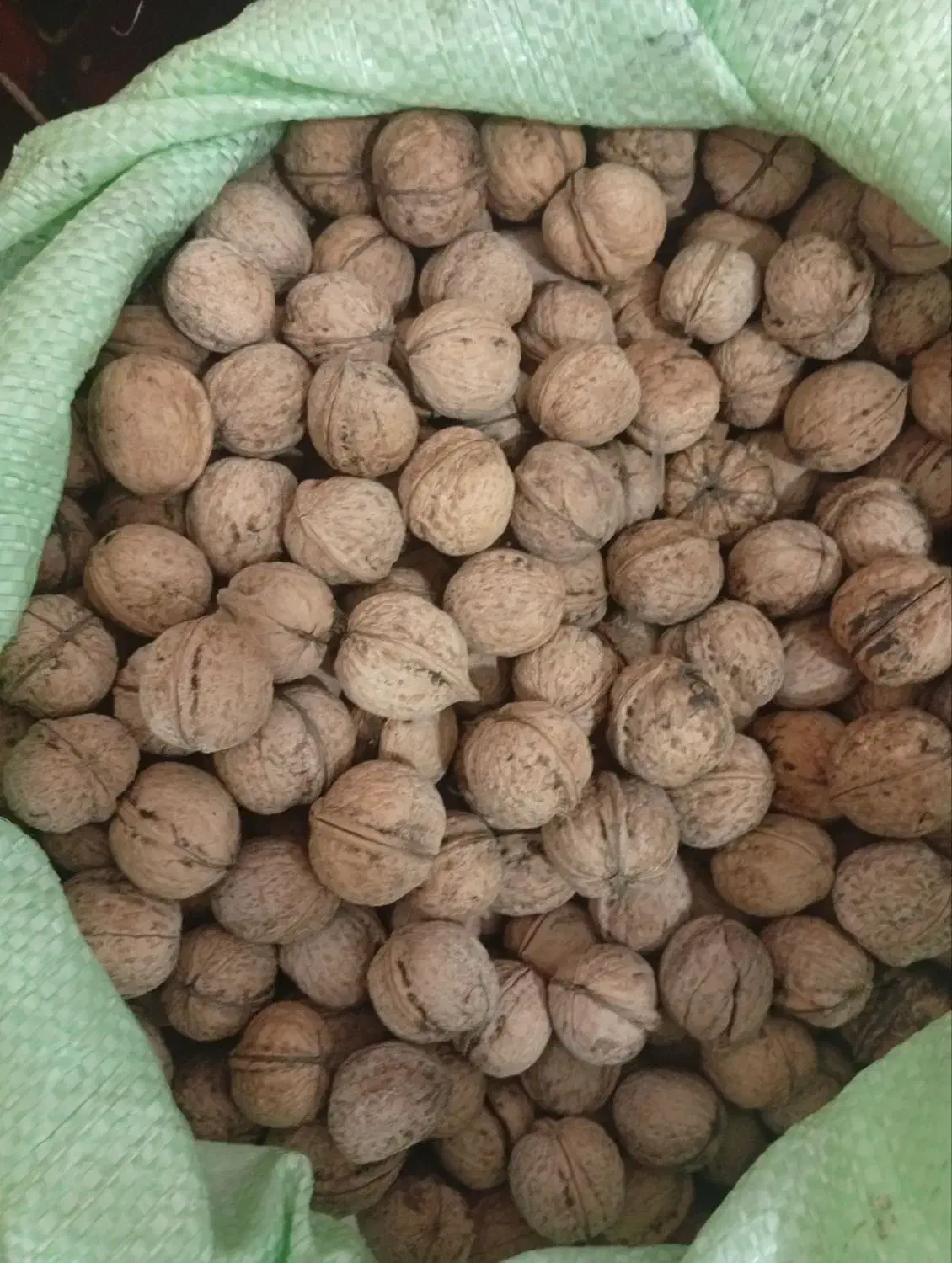 گردوتازه|خوردنی و آشامیدنی|اهر, |دیوار