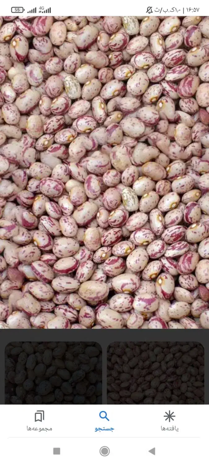 لوبیا چیتی|عمده‌فروشی|اسفراین, |دیوار