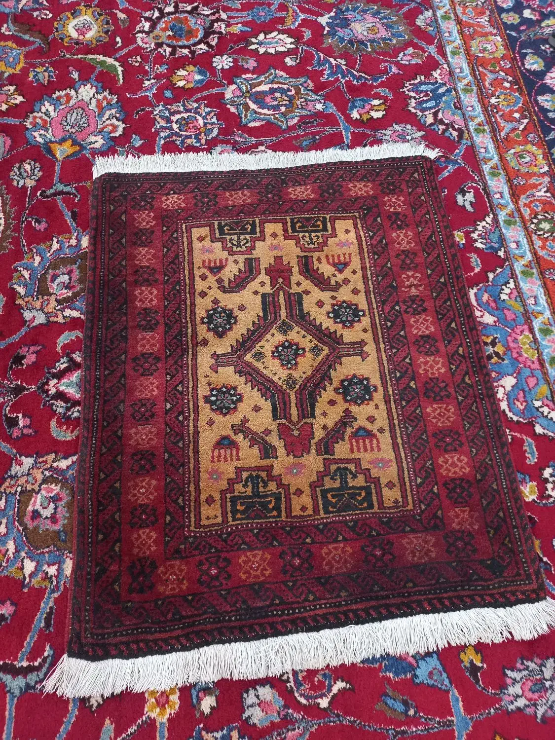 قالیچه دستبافت خوشرنگ نفیس درحدنو|پادری|مشهد, سعد آباد|دیوار