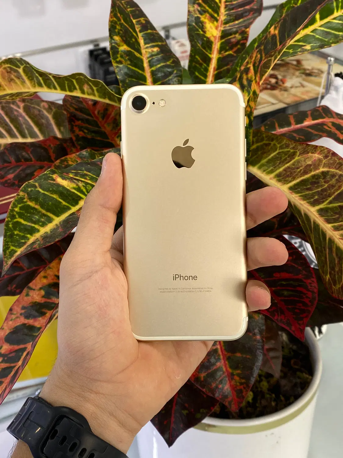 iphone 7|موبایل|نیشابور, بنیاد شهید|دیوار