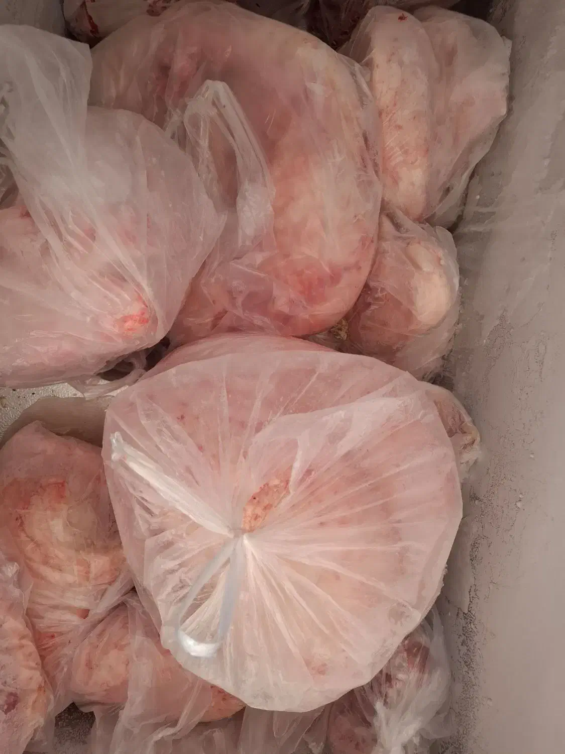 دنبه گوسفندی درجه1|خوردنی و آشامیدنی|بافت, |دیوار