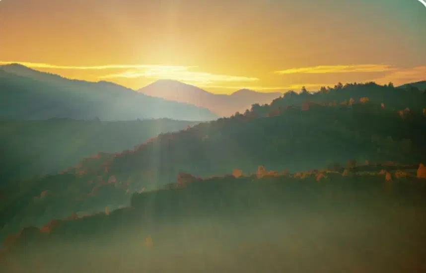 پیش فروش|پیشفروش املاک|تهران, تهرانپارس شرقی|دیوار