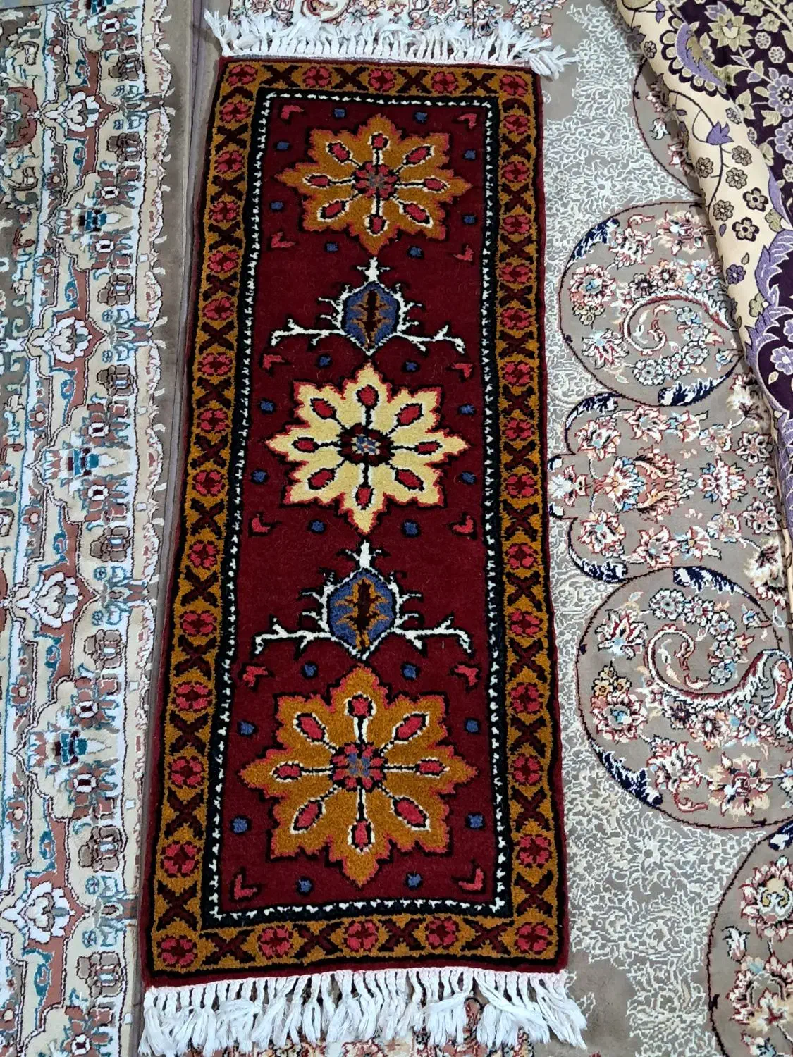 پادری|پادری|تبریز, |دیوار