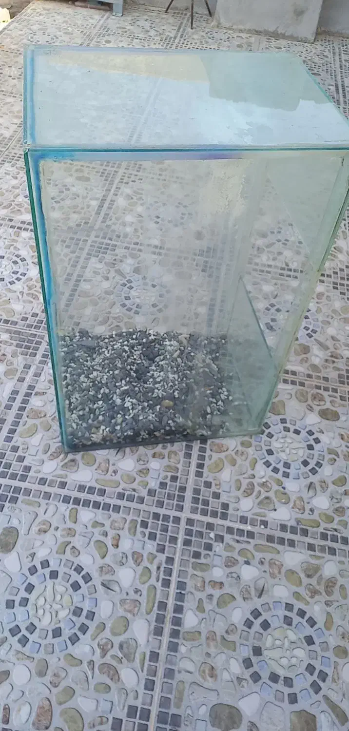 آکواریوم بزرگ|ماهی|شبانکاره, |دیوار