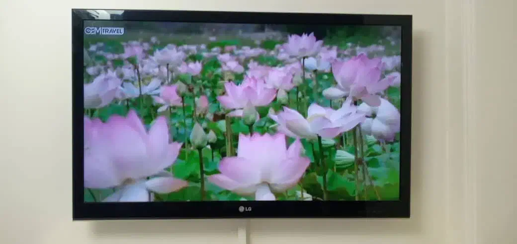 تلویزیون ال جی 49 اینچ|تلویزیون و پروژکتور|تهران, ارامنه|دیوار