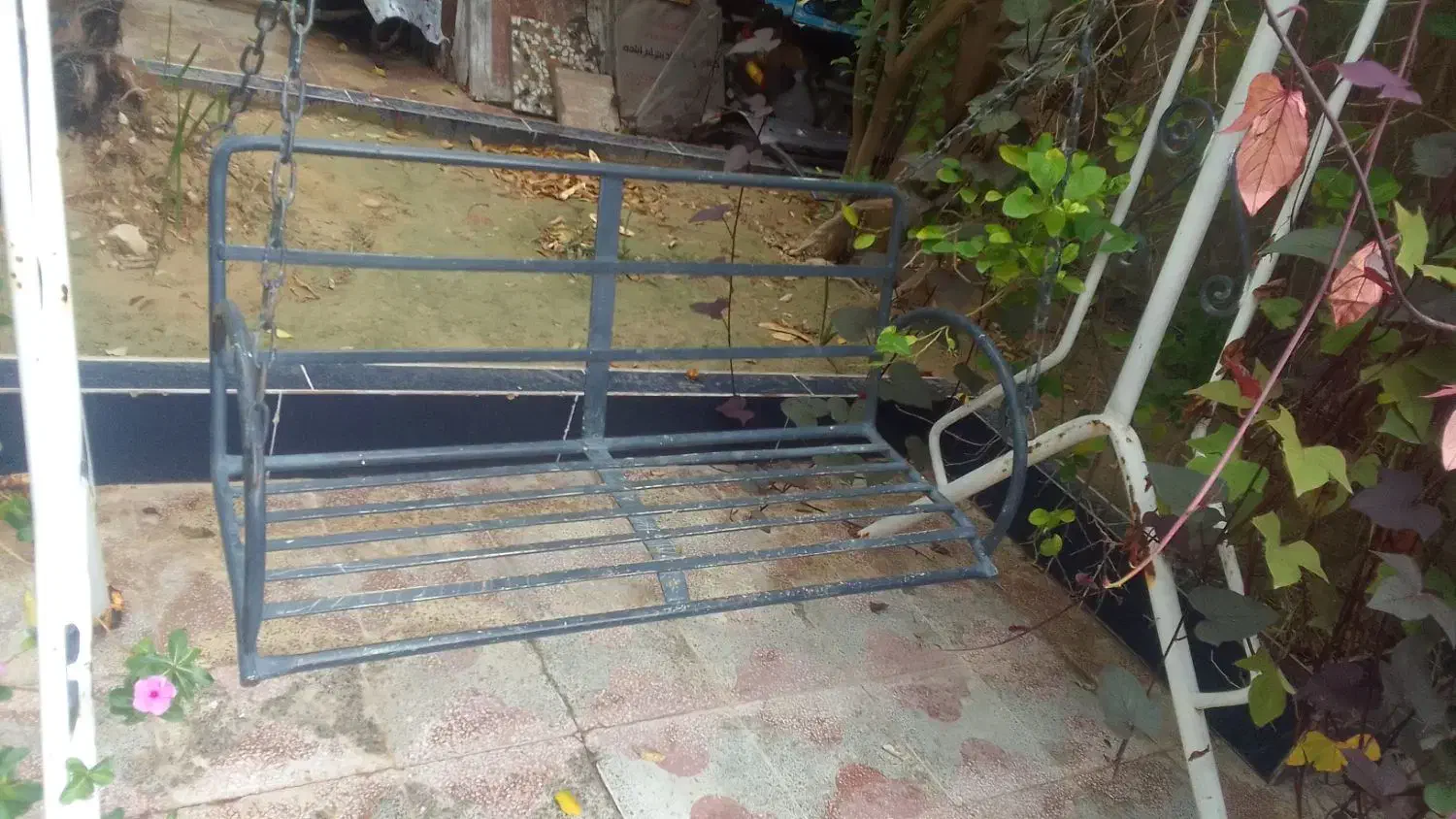 تاب|تابلو، نقاشی، عکس|بندر دیر, |دیوار