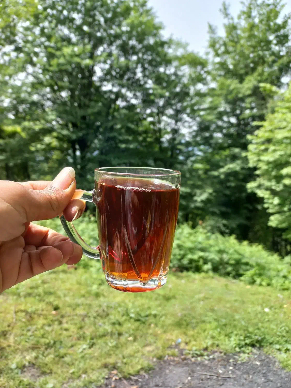 چای بهاره ی گیلان(املش)|خوردنی و آشامیدنی|تهران, تهرانپارس غربی|دیوار