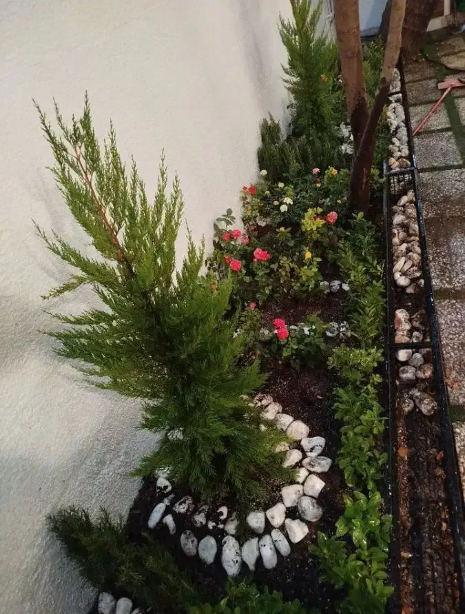 خدمات کلیه باغبانی باغچه کاری گلکاری هرس کاری|خدمات باغبانی و درختکاری|اسلامشهر, مظفریه|دیوار