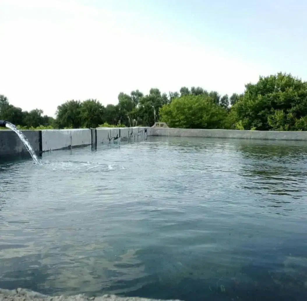 معاوضه باغ با ویلا یا آپارتمان|فروش زمین و ملک کلنگی|مشگین شهر, |دیوار