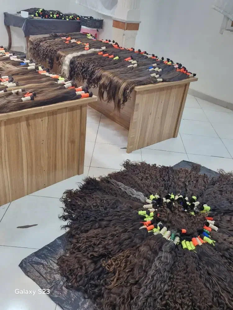 صادر کننده مو خریدار اصلی مو|خدمات آرایشگری و زیبایی|ماهیدشت, |دیوار