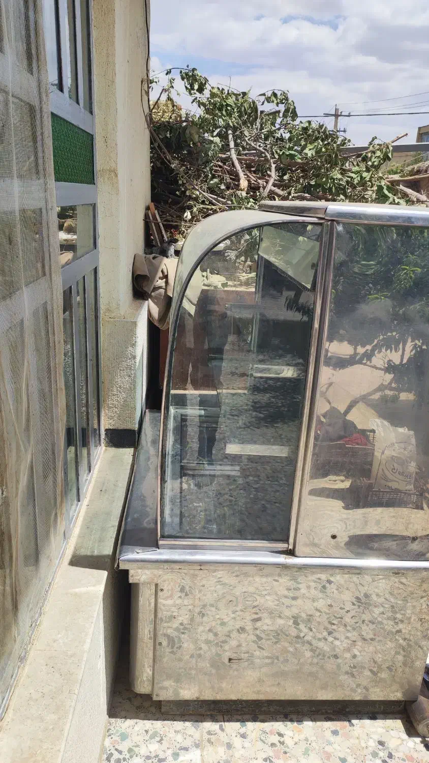 فروش فوری  یخچال ویترینی|یخچال و فریزر|اقلید, |دیوار