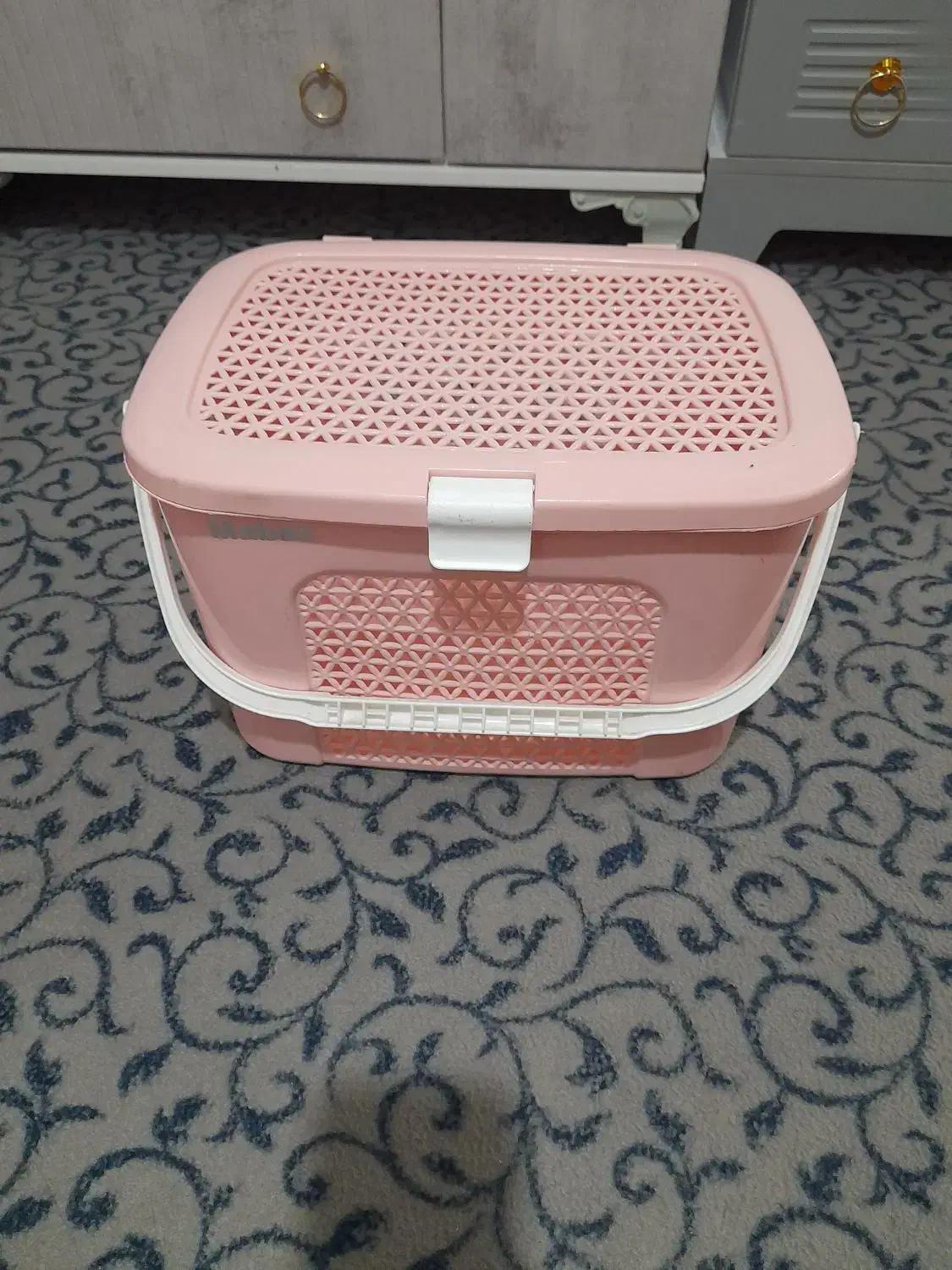 یک سری وسایل|ظروف نگهدارنده، پلاستیکی، یک‌بارمصرف|مریوان, |دیوار