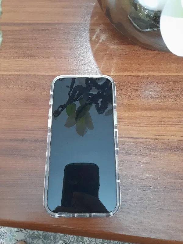iPhone 16 pro max|موبایل|کرج, عظیمیه|دیوار