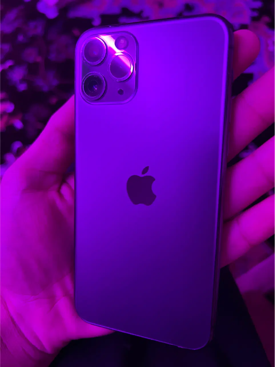 Apple 11 pro|موبایل|زاهدان, |دیوار