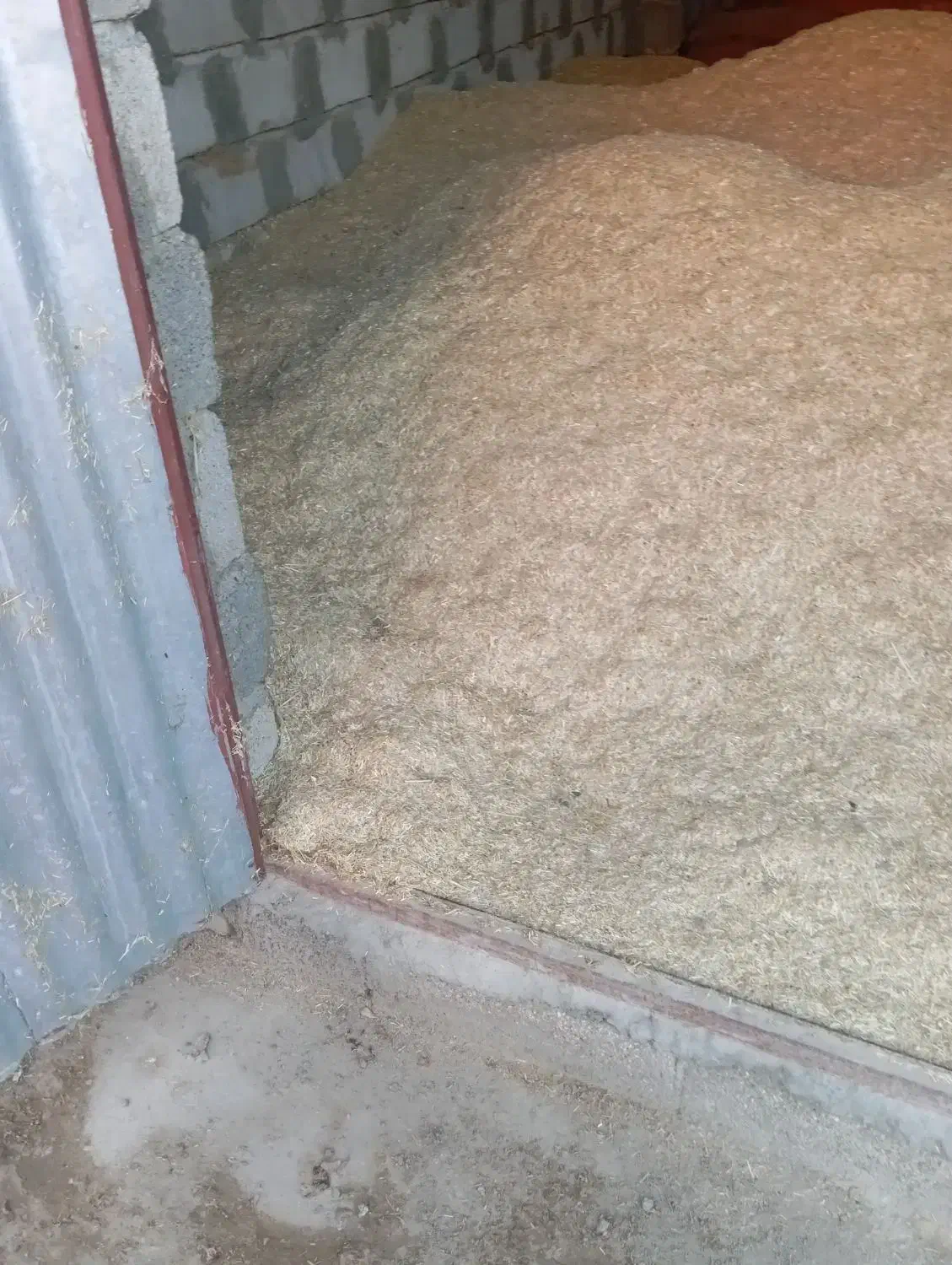 کاه درجه|لوازم جانبی حیوانات|گنبد کاووس, |دیوار