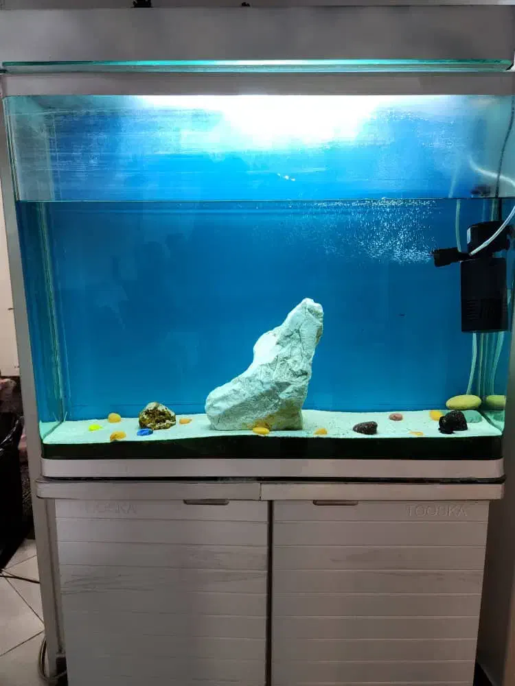 آکواریوم شیشه خم با لوازم کامل|ماهی|تهران, صاحب الزمان|دیوار