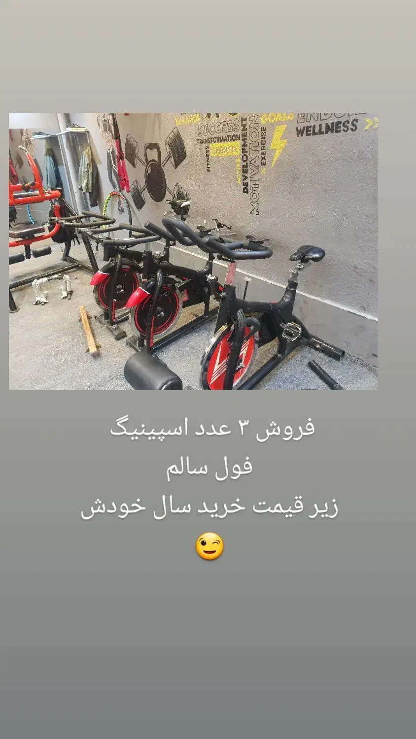 فروش ۳ عدد دوچرخه اسپینینگ باشگاهی|تجهیزات ورزشی|شیراز, کوشک میدان|دیوار