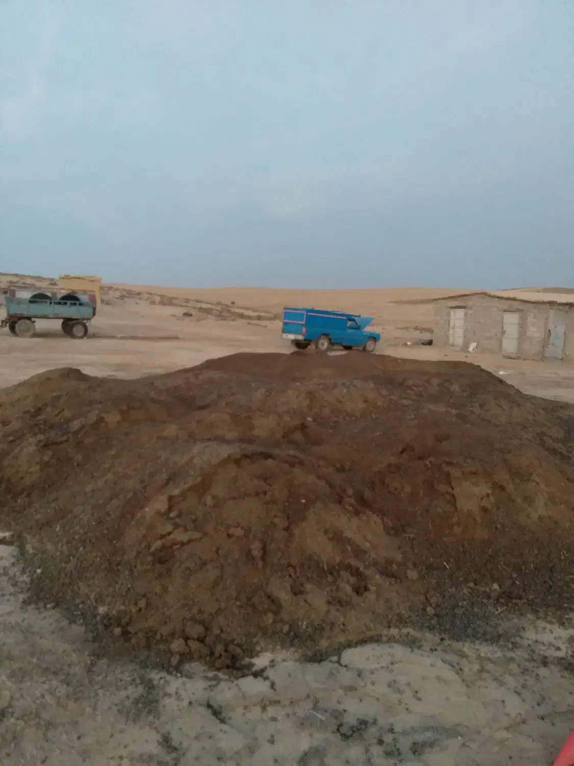 کود گوسفندی|خدمات باغبانی و درختکاری|ساری, |دیوار