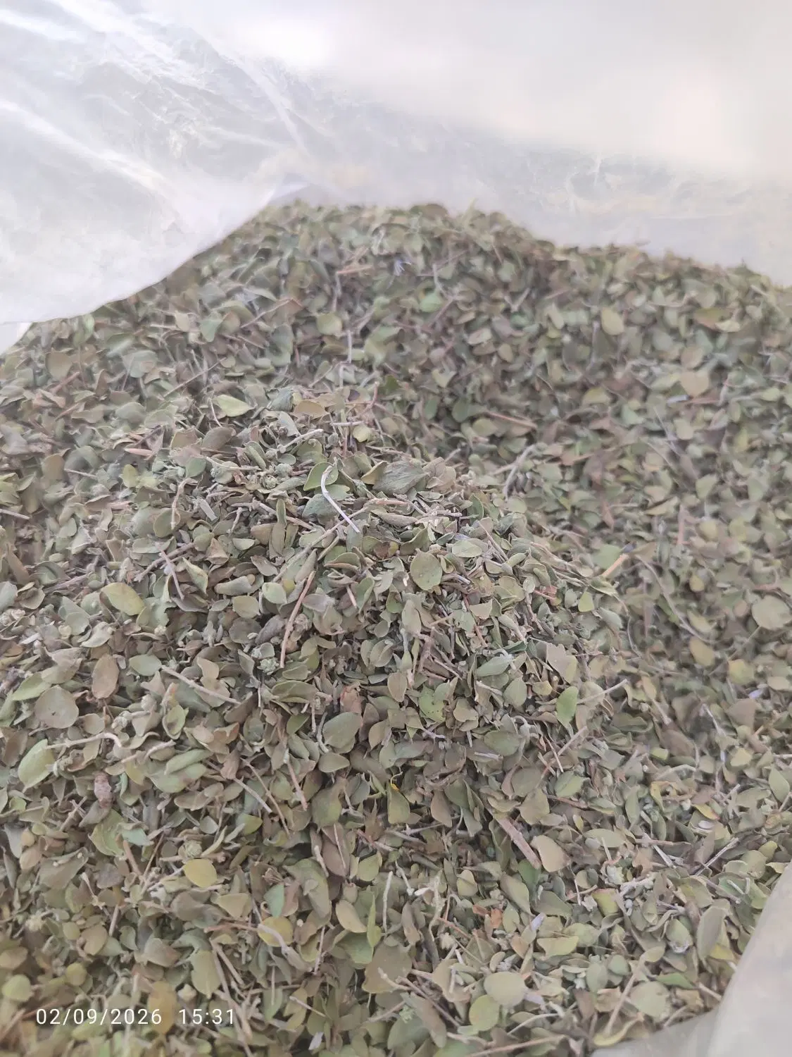 آویشن|خوردنی و آشامیدنی|مرودشت, دولت آباد|دیوار